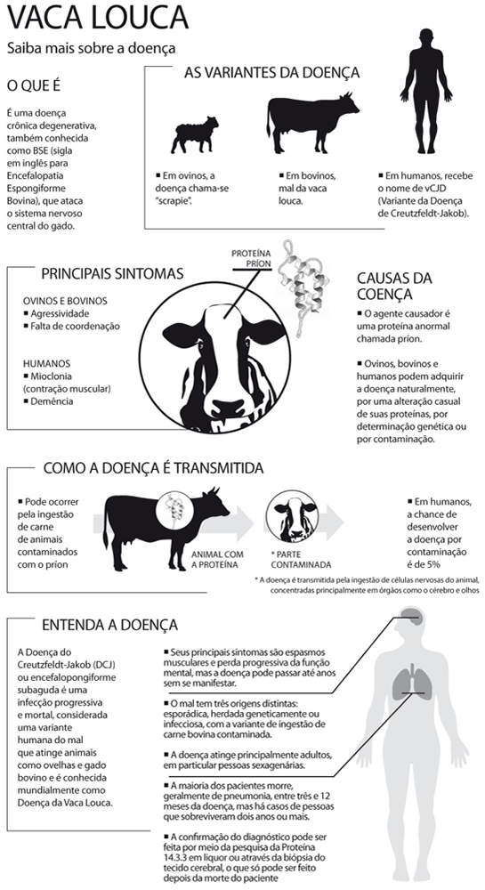 Mal da Vaca Louca - Sintomas